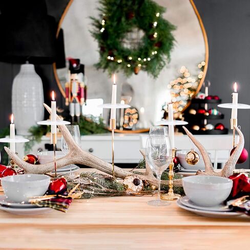 20 عبوة من شموع الكنيسة مع واقيات بالتنقيط لخدمة الوقفة الاحتجاجية على ضوء الشموع التعبدية، صندوق مكون من 20 شمعة، أبيض غير معطر، 5 بوصات ارتفاع × 1/2 بوصة عمق in Kuwait