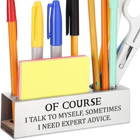 Cybersecurity Specialist Appreciation Gift, Office Desk Decor for IT Security Experts, Ethical Hackers, Network Administrators Career Recognition Gift, Funny Office Pencil Holder for Desk SD273 in Kuwait