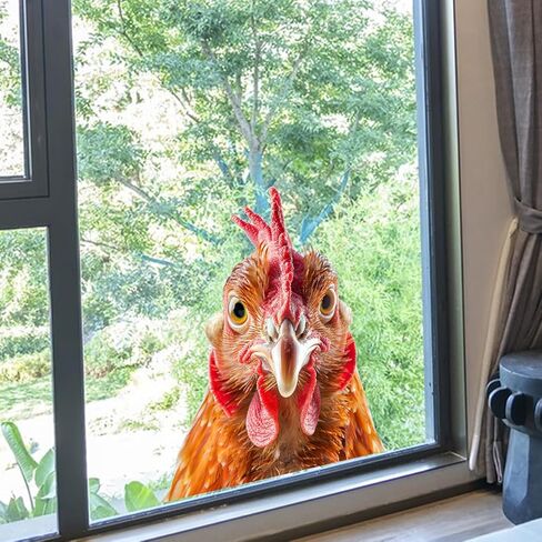 Funny Chicken Window Decals 11.8" x 11.8" Animal Rooster Head Wall Stickers Glass Clings Peel and Stick Film Living Room Bedroom Glass Door Decor in Saudi Arabia
