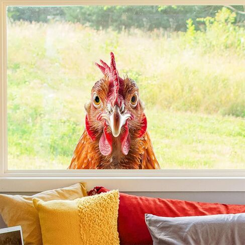Funny Chicken Window Decals 11.8" x 11.8" Animal Rooster Head Wall Stickers Glass Clings Peel and Stick Film Living Room Bedroom Glass Door Decor in Saudi Arabia