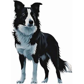 AK- Border Collie Silhouette Symbol Decal Paw Print Dog Puppy - Vinyl Sticker Waterproof Decal for Car | Laptop | Van | Trucks | Motorcycle | Bumper | Window Any Smooth Surface Size 5" inch in Saudi Arabia