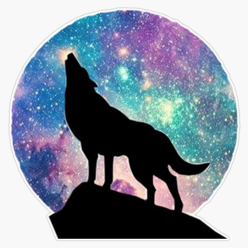 MAGNET Howling Wolf Magnetic Vinyl Sticker Decal Magnet 5" in Saudi Arabia