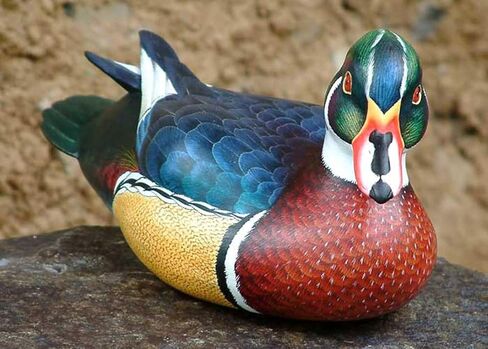 NOVICA Carolina Wood Duck Wood Statuette in Saudi Arabia