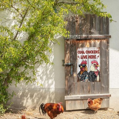 9 Pcs Chicken Coop Signs, Funny Chicken Signs Decor 8×12 Inch, Metal Tin Sign, Chickens Coops Accessories Garden Sign, Chickens Lovers Gift Easter Decorations Outdoor Decor for Farm Yard in Kuwait