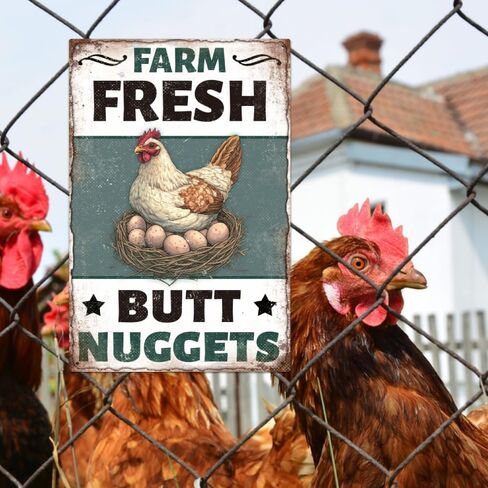 9 Pcs Chicken Coop Signs, Funny Chicken Signs Decor 8×12 Inch, Metal Tin Sign, Chickens Coops Accessories Garden Sign, Chickens Lovers Gift Easter Decorations Outdoor Decor for Farm Yard in Kuwait