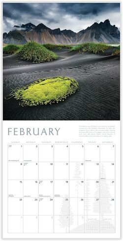 Mountains 2026 Calendar | 2026 Wall Calendar | Monthly Planner | Planner 2026-2027 | Marble City Press | 12" x 24" | Sustainable | Plastic Free | Printed on Thick Art Paper in Kuwait