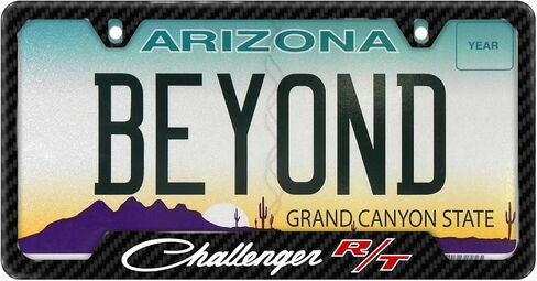 iPick Image for Dodge Challenger R/T Classic Black Carbon Fiber Texture ABS Plastic 50 States License Plate Frame in Saudi Arabia