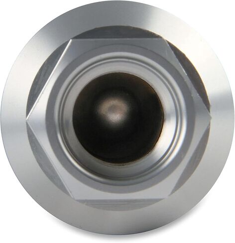 Holley 162-552 175 GPH HP Billet Fuel Filter in Kuwait