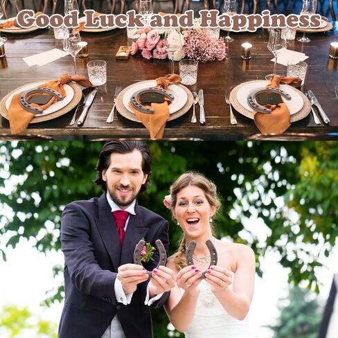 Acrux7 24 PCS Cast Iron Horse Shoes for Decorations, Mini Metal Horseshoes Wall Decor Good Lucky for Indoor, Outdoor, Cowboy, Western, Wedding, Birthday, Christmas Decorations Party Favors Supplies in Saudi Arabia