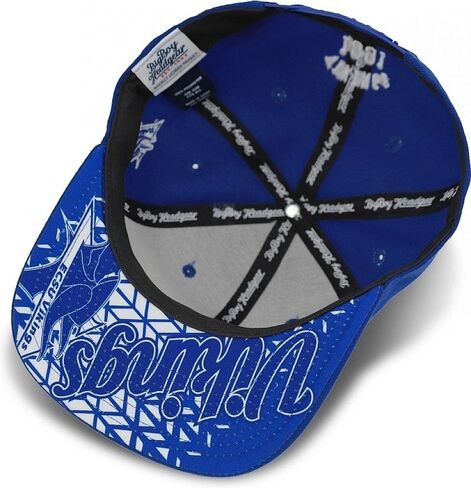 قبعة Big Boy Elizabeth City State Vikings S141 للرجال Snapback [أزرق ملكي - قابل للتعديل] - ID#2533 in Saudi Arabia