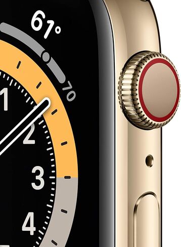 Apple Watch Series 6 (GPS + Cellular، 44 ملم) - هيكل ذهبي من الفولاذ المقاوم للصدأ مع حزام رياضي أخضر قبرصي (متجدد) in Saudi Arabia