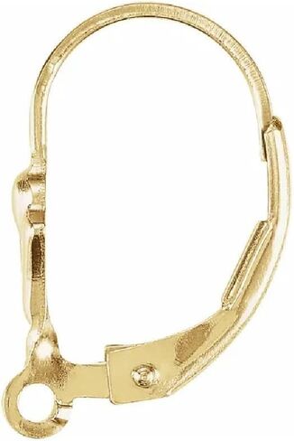 2 Pieces 14K Yellow Gold-Filled Fleur-de-Lis Lever Back Earrings with Ring | Secure Earwire Components for Drop, Dangle & Hoop Designs (1 Pair, Made in USA, 1/20 14K Stamped) by Duhaas in Kuwait