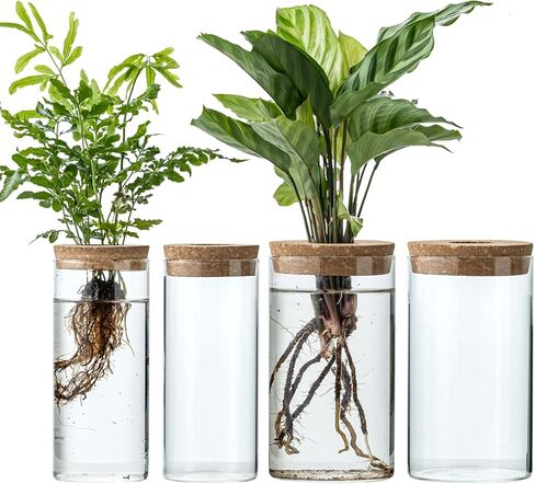 Propagation Vases for Plants, Set of 2(1 Large & 1 Small) Glass Plant Propagation Stations, Plant Propagation Jars for Home Office Windowsill Tabletop Decoration (2) in Saudi Arabia
