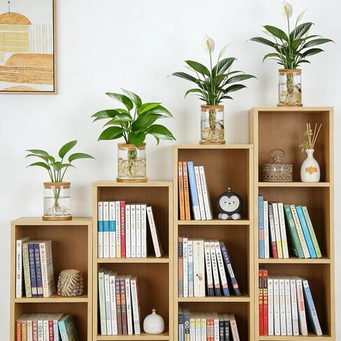 4 مجموعات من محطات تكاثر النباتات الزجاجية للنباتات - 2 كبيرة و2 صغيرة لقطع النباتات، مزهريات مائية مع غطاء وحامل من الخيزران، مزهريات تكاثر سطح المكتب لغرفة المعيشة وغرفة النوم والمكتب in Kuwait