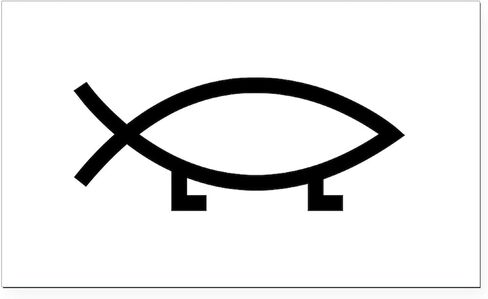 مغناطيس ممتص الصدمات للسيارة مستطيل الشكل من CafePress Evolution Fish in Saudi Arabia