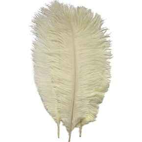 Sowder 20pcs Natural 10-12inch(25-30cm) Ostrich Feathers Plume for Wedding Centerpieces Home Decoration(Orange)