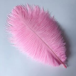 Sowder 6-8inch(15-20cm) Ostrich Feathers Plume for Wedding Centerpieces Home Decoration Pack of 50 (black)