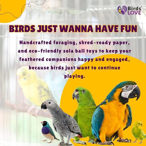 Birds LOVE Hanging Sola Balls Yum Yum with Hanging Bell (Single Sola Ball, 2.00) in Saudi Arabia