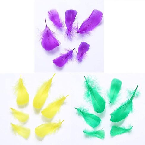 ريش ماردي غرا الملون للحرف اليدوية، 300 قطعة من الريش الأخضر والذهبي الأرجواني الطبيعي لتزيين حفلات ماردي جراس زي الكرنفال in Kuwait