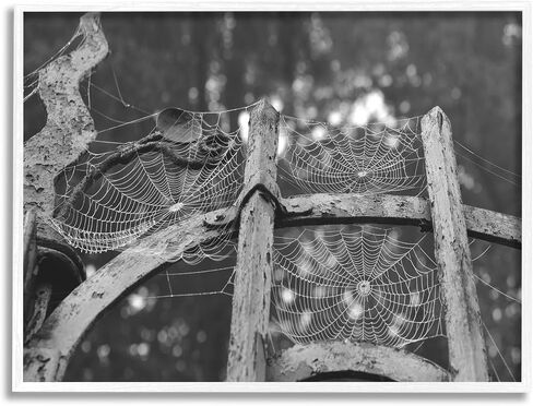 Stupell Industries Spooky Spider Webs Rustic Monochrome Gate Framed Wall Art, Design by Daphne Polselli in Saudi Arabia