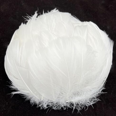 100pcs Tiny Assorted Colorful Goose Feather 2-3Inch Fluffy Feathers for Crafts Dream Catcher Wedding Home Party Decorations Earrings Making in Kuwait