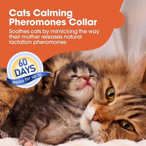 طوق مهدئ للقطط - 4 عبوات من أطواق تهدئة القطط من الفيرمونات أطواق تهدئة للقطط - تخفيف قلق القطط يستمر 60 يومًا تصميم انفصالي لطوق القطط المهدئ قابل للتعديل لمعظم القطط (15 بوصة) in Kuwait