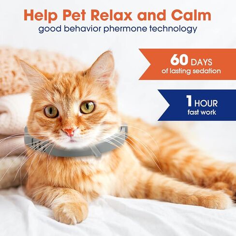 طوق مهدئ للقطط - 4 عبوات من أطواق تهدئة القطط من الفيرمونات أطواق تهدئة للقطط - تخفيف قلق القطط يستمر 60 يومًا تصميم انفصالي لطوق القطط المهدئ قابل للتعديل لمعظم القطط (15 بوصة) in Kuwait