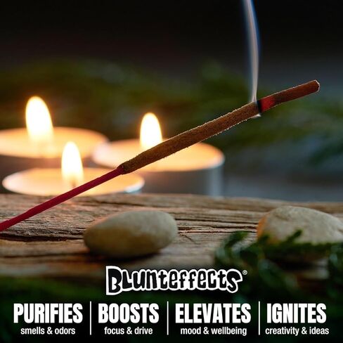 بخور بلانت إيفيكتس الفاخر المغمس يدويًا (12، متنوعة) in Kuwait