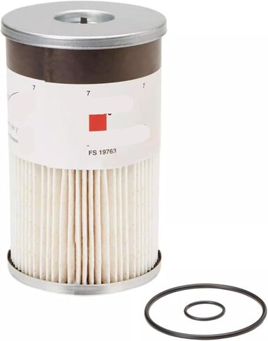 Filter with water separator FS19763- in Saudi Arabia