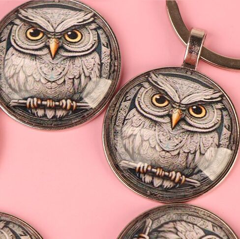 4 Pcs Charming Owl Alloy Key Chain Set - Time Gem Design Bag Pendant for Birthday, Anniversary, Valentine's Day, Friends Accessories in Kuwait