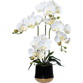 Artificial Orchid Flowers in Ceramic Vase Realistic Crimson Faux Orchids 19.5 Inch Fake Phalaenopsis Plant Arrangements for Home Indoor Centerpiece Decor (Set of 4 Stems) in Saudi Arabia
