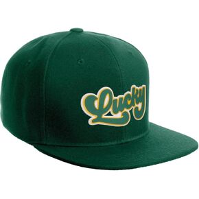Daxton Classic Snapback St.Patrick Day 3D Lucky Clover Flat Bill Visor Hat in Kuwait