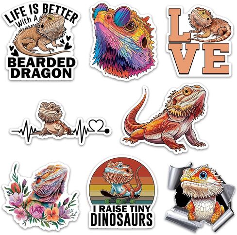 Bearded Dragon Sticker 8 Pcs (Large Size) Vinyl Stickers Laptop Waterproof Decal for Car Bumper Water Bottle Notebook Luggage Window Party Birthday Decorations - Size 4 Inches in Kuwait