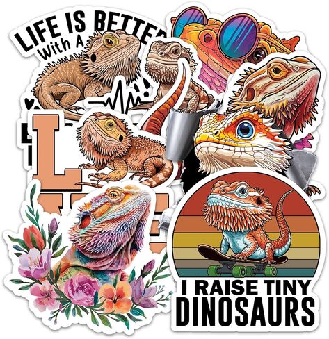 Bearded Dragon Sticker 8 Pcs (Large Size) Vinyl Stickers Laptop Waterproof Decal for Car Bumper Water Bottle Notebook Luggage Window Party Birthday Decorations - Size 4 Inches in Kuwait
