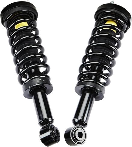 مجموعة الدعامات الأمامية مع استبدال ممتص الصدمات الزنبركي الملفوف لسيارة Ford F150 2009-2013 2WD 171140 جانب السائق والراكب (مجموعة من 2) in Saudi Arabia