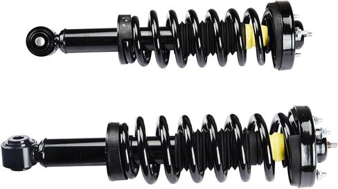 مجموعة الدعامات الأمامية مع استبدال ممتص الصدمات الزنبركي الملفوف لسيارة Ford F150 2009-2013 2WD 171140 جانب السائق والراكب (مجموعة من 2) in Saudi Arabia