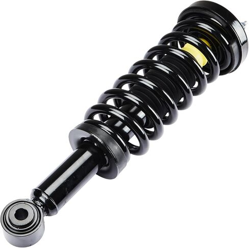 مجموعة الدعامات الأمامية مع استبدال ممتص الصدمات الزنبركي الملفوف لسيارة Ford F150 2009-2013 2WD 171140 جانب السائق والراكب (مجموعة من 2) in Saudi Arabia