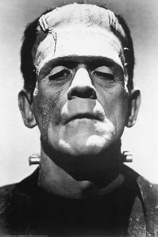 MovieStore Frankenstein Boris Karloff 24X36 B&W Poster Print in Saudi Arabia
