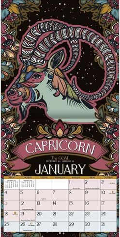 TURNER PHOTOGRAPHIC Zodiac 12x12 Photo Wall Calendar (26998940109) in Kuwait