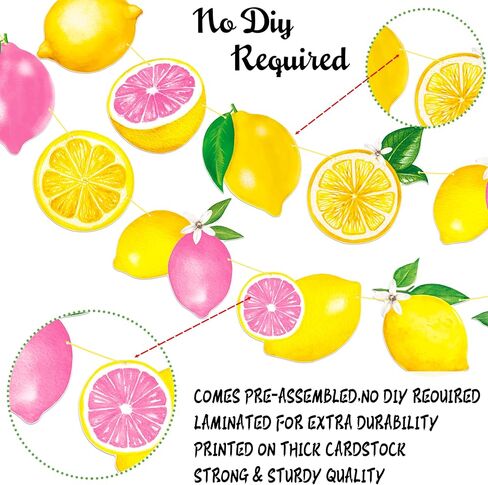 Lemon & Pink Citrus Themed Bunting Banner Pre-Strung Lemon Garland for Summer Fruit Party, Baby Shower, Bridal Shower, Lemonade Stand, Tropical Party Decorations in Saudi Arabia