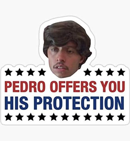 Pedro Offes You His Protection Napoleon Dynamite - Sticker Graphic - Auto, Wall, Laptop, Cell, Truck Sticker for Windows, Cars, Trucks in Saudi Arabia