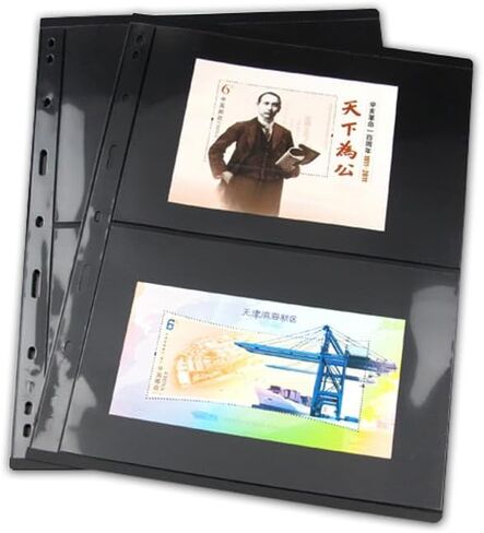10 Pieces Stamp Collecting Supplies Stamp Collector Pages Album Sheets with Standard 9 Hole Binder Sleeves (Stamp Pages 2rows) in Saudi Arabia