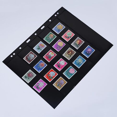 10 Pieces Stamp Collecting Supplies Stamp Collector Pages Album Sheets with Standard 9 Hole Binder Sleeves (Stamp Pages 2rows) in Saudi Arabia