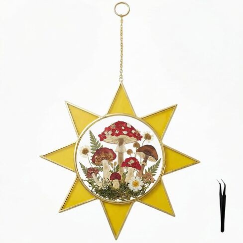 Sunburst Pressed Flower Frames with Tweezers, Decorative Wall Art Hanging Tabletop Display Double Glass Frames with Metal Chain for Dried Flowers Plants, Horizontal Picture Frame, Golden Décor in Kuwait