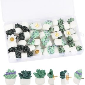 30 قطعة من دبابيس الدفع الزخرفية للنباتات النضرة ومسامير الإبهام للتعليق على الحائط، ولوحة الفلين in Kuwait