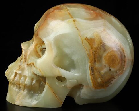 جمجمة كريستال اليشم الأفغاني مقاس 2.0 بوصة، منحوتة يدويًا من الأحجار الكريمة للفنون الجميلة، تمثال حجر شفاء الريكي. in Kuwait