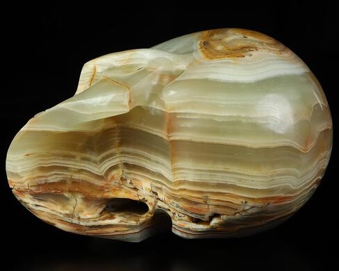 جمجمة كريستال اليشم الأفغاني مقاس 2.0 بوصة، منحوتة يدويًا من الأحجار الكريمة للفنون الجميلة، تمثال حجر شفاء الريكي. in Kuwait