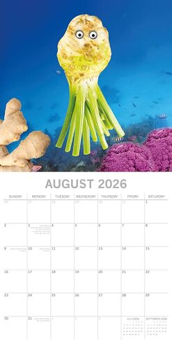 التقويم المربع لمدة 16 شهرًا من The Gifted Stationery - موضوع المأكولات البحرية ومخطط 2026 مع 180 ملصق تذكير - تقويم حائط معلق 2026-12 × 12 بوصة مطوي in Saudi Arabia