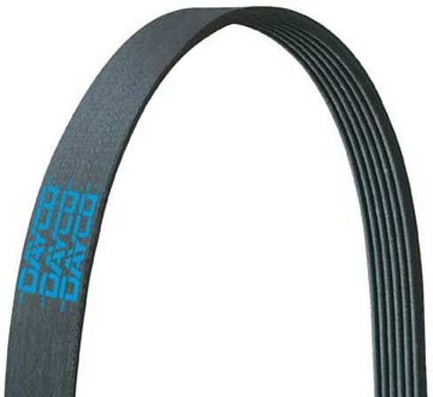 Dayco 5061159 Poly Rib Belt, Dayco in Saudi Arabia