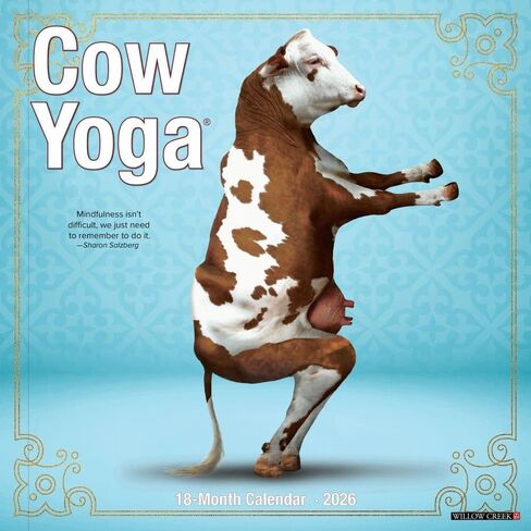 Willow Creek Press, Cow Yoga 2026 Wall Calendar, 12'' X 12'', 18-Month Calendar with Stapled Binding in Saudi Arabia